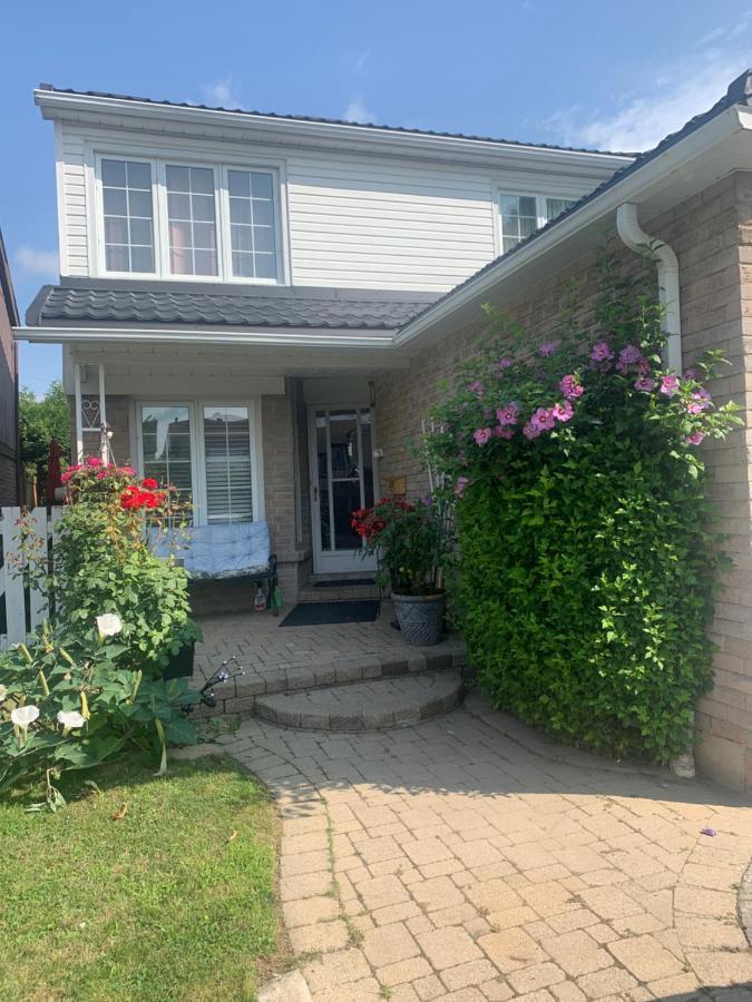 Big Oasis Studio Near Airport Yyz Hotel Toronto Luaran gambar